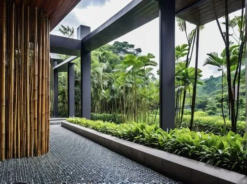 bamboo curtain,bamboo plants,hawaii bamboo,bamboo frame,bamboo forest,bamboo,room divider,corten steel,patterned wood decoration,zen garden,garden door,luxury bathroom,contemporary decor,eco hotel,wood fence,glass wall,garden design sydney,singapore,ornamental dividers,wooden decking,Photography,General,Realistic