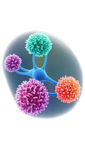 t-helper cell,cell structure,biosamples icon,coronavirus,cancer illustration,cancer logo,coronaviruses,short-tailed cancer,immune system,cytoplasm,atom nucleus,coronavirus disease covid-2019,corona virus,connective tissue,flowers png,prostate cancer,coronavirus test,cellular,rna,diagram of photosynthesis,Illustration,Paper based,Paper Based 04