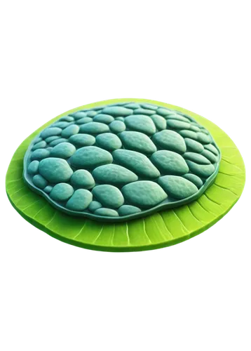 water lily plate,inflatable mattress,sleeping pad,nap mat,air mattress,bean bag chair,futon pad,seat cushion,battery pressur mat,sleeping bag,lily pad,air cushion,rug pad,lotus leaf,mattress pad,banana leaf,water lily leaf,waterbed,chloroplasts,banana leaf rice,Photography,Black and white photography,Black and White Photography 15