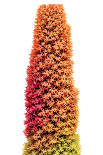 felt christmas trees,amaranth family,wheat celosia,feather coral,christmastree worms,cardstock tree,amaranth,cones,amaranth grain,cone,wooden christmas trees,fir tree decorations,knitted christmas background,blood amaranth,seasonal tree,colored crayon,conifer cone,conifer cones,japanese kuchenbaum,spruce cones,Conceptual Art,Daily,Daily 02