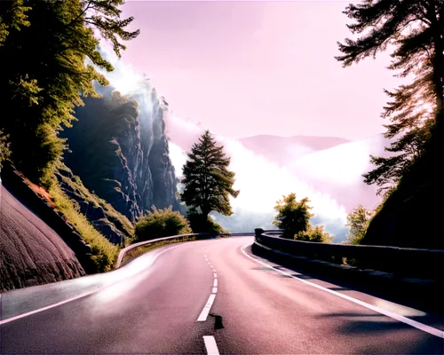 mountain road,mountain highway,alpine route,mountain pass,alpine drive,open road,steep mountain pass,road,long road,the road,landscape background,winding roads,winding road,hills,world digital painting,highway,road forgotten,alpine landscape,road to nowhere,cartoon video game background,Photography,Black and white photography,Black and White Photography 08