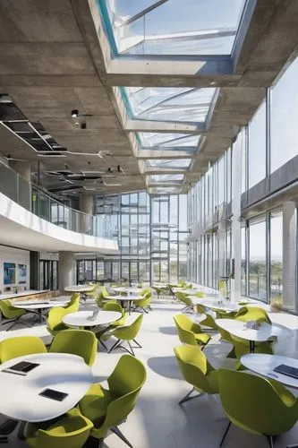 school design,epfl,daylighting,macewan,schulich,uoit,boroughmuir,gensler,cafeteria,audencia,skolkovo,atriums,embl,lunchroom,deloitte,hallward,university library,lecture hall,modern office,renderings,Illustration,Black and White,Black and White 32