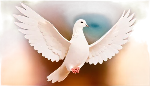 dove of peace,peace dove,doves of peace,peacocke,white dove,dove,holy spirit,beautiful dove,white pigeon,peacebuilding,peacenik,peackeeping,peaceworks,white bird,peaceably,white pigeons,peacebroker,peaceforce,peacemaking,doves,Unique,Paper Cuts,Paper Cuts 07