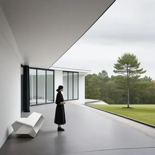 dinesen,oticon,snohetta,vitra,siza,safdie,archidaily,chipperfield,mirror house,dunes house,amagansett,minotti,adjaye,mies,frame house,cantilevered,aalto,modern house,cubic house,eames,Illustration,Japanese style,Japanese Style 08