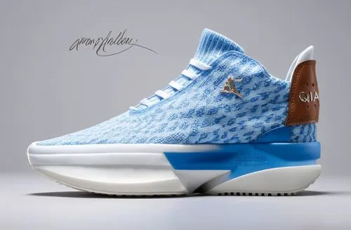 unc,mashburn,blue shoes,tarheel,burzenin,cinderella shoe,Photography,General,Realistic