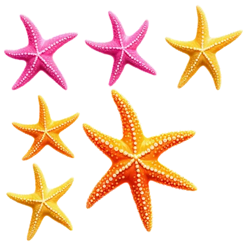 starfishes,cinnamon stars,sea star,colorful star scatters,starfish,rating star,star pattern,bascetta star,baby stars,nautical star,star scatter,star bunting,star-shaped,star illustration,star garland,star fruit,six-pointed star,magic star flower,six pointed star,christ star,Unique,Pixel,Pixel 05