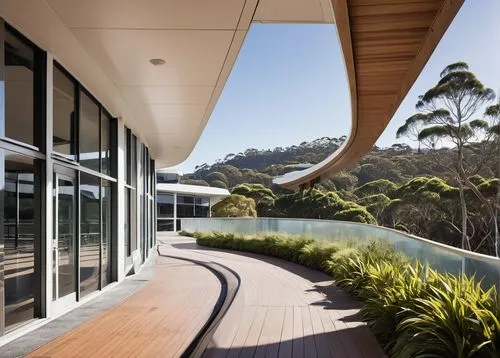 landscape design sydney,landscape designers sydney,garden design sydney,seidler,weatherboards,waitakere,castlecrag,verandahs,verandah,oticon,dunes house,modern architecture,utzon,cantilevered,mosman,weatherboard,pymble,waiheke,fresnaye,barrenjoey,Conceptual Art,Daily,Daily 04