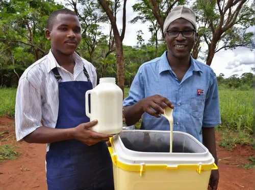 water sampling point,yoghurt production,fetching water,soap making,stock farming,water filter,wastewater treatment,agricultural engineering,teaching children to recycle,milk utilization,raw milk,agricultural use,children of uganda,field trial,water supply,fire fighting water supply,rain gauge,waste water system,people of uganda,soluble in water,Illustration,Realistic Fantasy,Realistic Fantasy 36