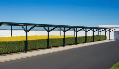 A clean and modern outdoor walkway with a series of metal posts supporting a glass roof. The posts are now matte black. The setting features well-manicured hedges on the side, a smooth road with yello