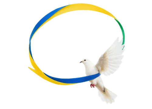 dove of peace,peacocke,peace dove,olympic symbol,doves of peace,peaceworks,logo google,birational,peacenik,luigia,peacebuilding,peacefire,purity symbol,spirit ball,paracatu,peaceforce,eckankar,peacemaking,peaceniks,olympic flame,Photography,Documentary Photography,Documentary Photography 10