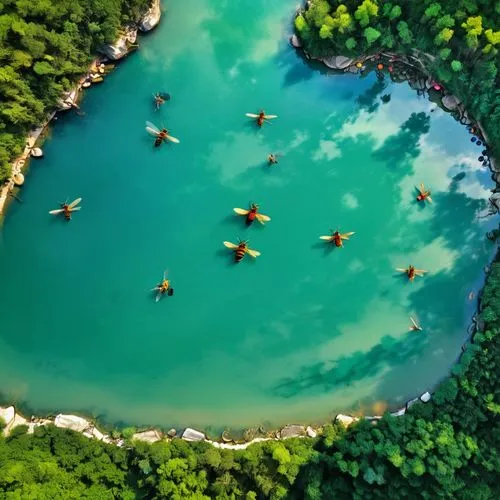 floating over lake,canoers,canoes,danube delta,tailandia,neretva,small boats on sea,kayaks,canoeists,the danube delta,pedalos,kayakers,kayaking,floating on the river,kravice,plitvice,canoer,raft,volcanic lake,canoeing,Unique,Design,Infographics