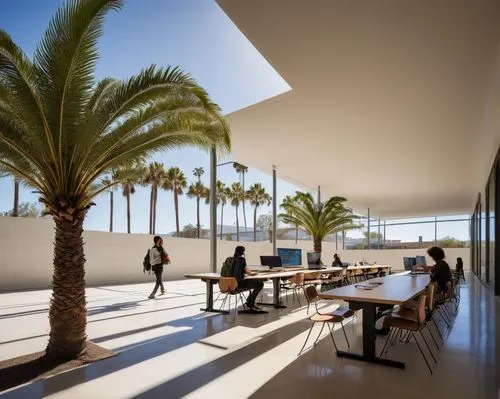 champalimaud,macba,lacma,daylighting,gensler,school design,soumaya museum,mipim,malba,royal palms,futuristic art museum,patios,breezeway,quadriennale,gagosian,archidaily,dunes house,palmera,siza,palm garden,Art,Classical Oil Painting,Classical Oil Painting 05