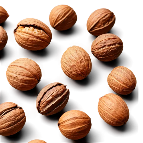 hazelnuts,almond nuts,betelnut,walnut,walnuts,unshelled almonds,cocoa beans,indian almond,pecans,hazelnut,coffee seeds,pine nuts,almond,nueces,almonds,coffee beans,seeds,harthacnut,walnut oil,pecan,Illustration,Realistic Fantasy,Realistic Fantasy 45