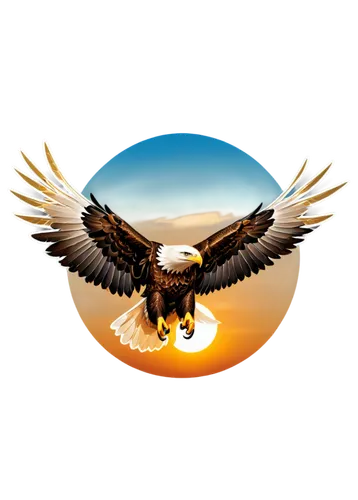 eagle vector,eagle illustration,aguila,eagle,finagle,eagle drawing,eagle eastern,gray eagle,aguiluz,african eagle,rapace,iraqiyah,imperial eagle,white eagle,emblem,united states air force,uniphoenix,mongolian eagle,firehawks,eagels,Unique,Design,Sticker