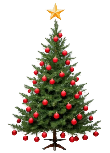 nordmann fir,decorate christmas tree,canadian fir,fir tree decorations,fir,christmas tree,christmas tree pattern,the christmas tree,christbaumkugeln,fir tree,chastetree,spruce tree,christmas pine,fir branch,christmas tree decoration,seasonal tree,fir tree ball,christmas motif,trimming christmas tree,bo tree,Illustration,Black and White,Black and White 17