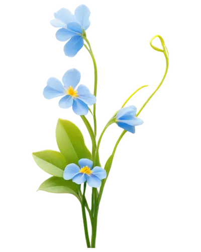 flowers png,mountain bluets,forget-me-nots,flower illustrative,alpine forget-me-not,forget-me-not,flower illustration,blue flowers,blue flower,minimalist flowers,flower background,forget me nots,myosotis,cartoon flowers,blue butterfly background,windflower,blue petals,illustration of the flowers,linum bienne,flower drawing,Conceptual Art,Fantasy,Fantasy 09