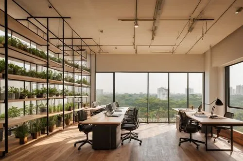 modern office,creative office,seedbank,gensler,herbarium,working space,forest workplace,offices,hydroponics,greenhouse,innisfree,workspaces,assay office,bureaux,greentech,loft,microhabitats,bellocq,associati,serviced office,Illustration,American Style,American Style 09