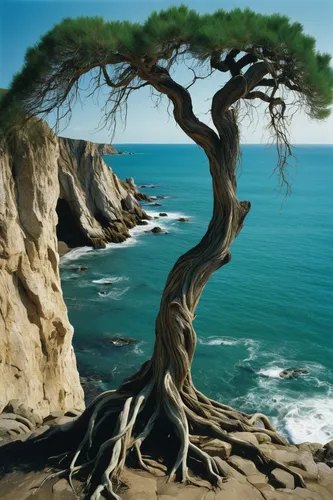 Illustrate the coarse texture of a gnarled willow tree on a rugged coastal cliff.,dragon tree,canarian dragon tree,tree of life,the japanese tree,upward tree position,isolated tree,celtic tree,flouris