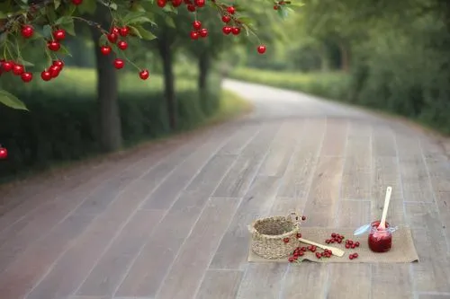 red berries,wooden path,red gooseberries