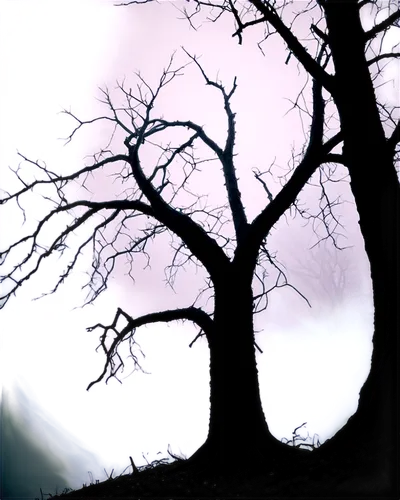 old tree silhouette,tree silhouette,creepy tree,isolated tree,halloween bare trees,tree thoughtless,dead tree,old tree,bare tree,forest tree,the branches of the tree,tree,dead wood,fir tree silhouette,a tree,lone tree,tree and roots,strange tree,halloween background,the branches,Illustration,American Style,American Style 09