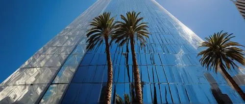 glass building,glass facades,transamerica,glass pyramid,wilshire,glass facade,transbay,structural glass,shard of glass,two palms,skyscapers,washingtonia,calpers,royal palms,transamerica pyramid,glass panes,lucite,los angeles,hearst,angelenos,Conceptual Art,Sci-Fi,Sci-Fi 02