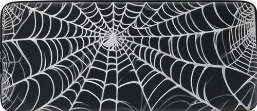 webbing,spider silk,spider's web,spider web,webs,spider net