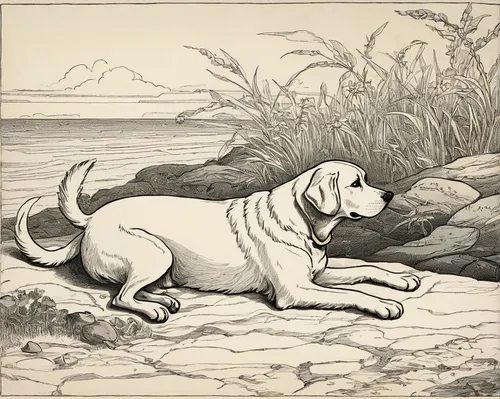 edward lear,dog illustration,labrador,canidae,ancient dog breeds,dog drawing,basset artésien normand,canis lupus tundrarum,suidae,hunting dog,bruno jura hound,landseer,piasecki hup retriever,boy and dog,companion dog,hanover hound,lithograph,dog in the water,hunting dogs,labrador retriever,Illustration,Retro,Retro 22