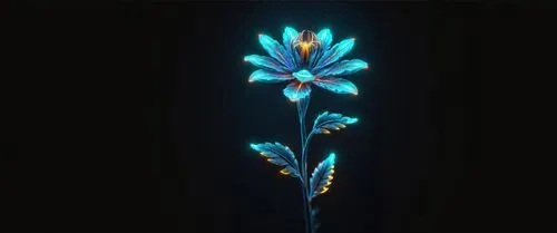 пустой черный фон,a flower with multiple colors is displayed in the dark,blu flower,blue flower,water flower,bioluminescent,elven flower,flower wallpaper