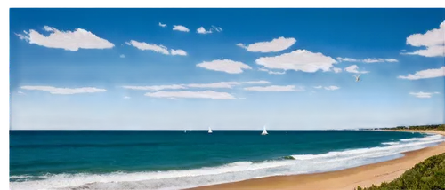 Calming sky, clear blue ocean, fluffy white clouds, waves gently crashing on shore, sailboats in distance, seagulls flying overhead, warm sunlight, soft focus, panoramic view, 3/4 composition, vibrant