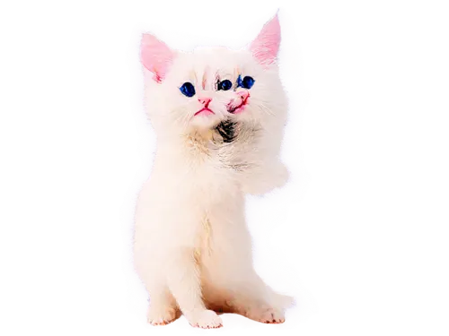 cute kittens, two kittens, hugging each other, white fur, pink noses, blue eyes, adorable facial expressions, fluffy ears, tiny paws, soft fur texture, warm lighting, pastel color tone, 3/4 compositio