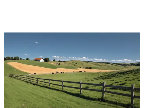 grain field panorama,upperville,pasture fence,acreages,farm landscape,pastureland,farm background,ranchland,hay farm,straw field,rolling hills,acreage,fruitlands,antietam,panorama from the top of grass,sperryville,delaplane,paddocks,landownership,meadow fescue,Conceptual Art,Fantasy,Fantasy 13