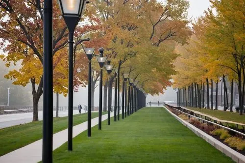 tree-lined avenue,tree lined avenue,tree lined lane,tree lined path,row of trees,tree lined,autumn park,the trees in the fall,esplanades,copses,autumn in the park,trees in the fall,tuileries garden,deciduous trees,walkway,avenue,autumn trees,palma trees,green trees,bicycle path,Conceptual Art,Fantasy,Fantasy 29