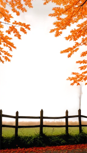 autumn frame,autumn background,round autumn frame,autumn scenery,autumn landscape,landscape background,fall landscape,one autumn afternoon,the autumn,autumn idyll,autumn,autumn morning,autumn day,late autumn,nature background,autumn tree,autumn fog,in the autumn,just autumn,autumn trees,Illustration,Realistic Fantasy,Realistic Fantasy 34