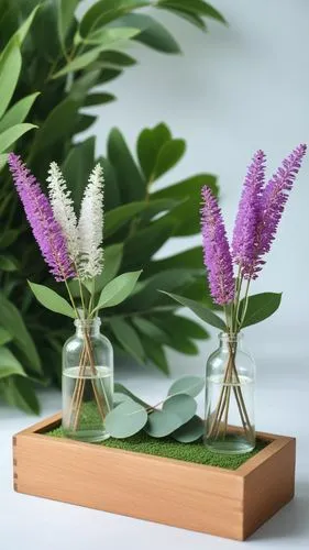 panggung yang elegan dan mewah tapi  sangat  alami  untuk display produk yang alami  dengan bahan  eucalyptus leaf, kelapal dan lavender ,two glass bottles are holding purple flowers and greenery,ikeb