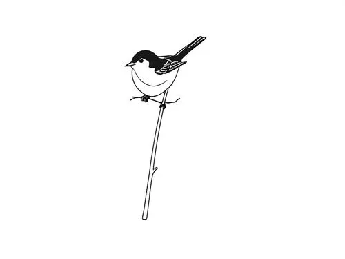 forktail,common stilt,bird illustration,chickadee,bird png,black tern,Design Sketch,Design Sketch,Rough Outline