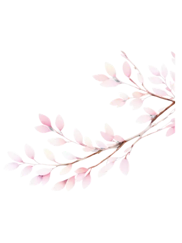 cherry blossom branch,sakura branch,cherry branches,sakura flower,sakura tree,japanese sakura background,sakura blossoms,flowers png,sakura blossom,japanese floral background,sakura cherry tree,japanese cherry,hanami,sakura flowers,sakura background,cherry branch,cherry blossom,japanese cherry blossom,cherry twig,cold cherry blossoms,Illustration,Black and White,Black and White 09