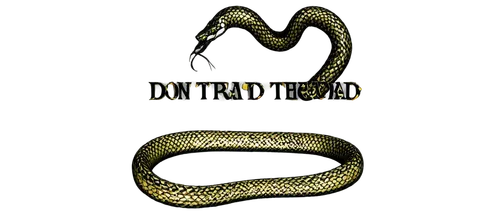 derivable,letter chain,collar,chain,iron chain,gold jewelry,goldkette,island chain,gold bracelet,ercp,chainmail,anchor chain,snakebit,torcs,yellow python,snake pattern,necklace,gorget,snake skin,knake,Photography,Artistic Photography,Artistic Photography 13