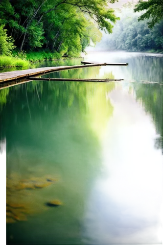 pond,waterscape,daecheong lake,green water,calm water,reflection in water,waterbody,water mirror,mirror water,clear stream,aura river,lake tanuki,nature background,water reflection,reflection of the surface of the water,japan landscape,water scape,background view nature,l pond,backwater,Illustration,Japanese style,Japanese Style 16