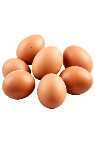 Still life, eggs, 5 pieces, white background, detailed texture, realistic, round shape, brown spots, smooth surface, warm lighting, shallow depth of field, close-up shot, high contrast, cinematic comp