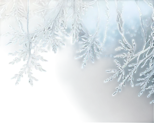 snowflake background,christmas snowy background,winter background,hoarfrost,frostiness,ice crystal,snow trees,christmas snowflake banner,snow crystals,frost,christmasbackground,snow tree,deepfreeze,blue snowflake,dendrites,frosted glass,dendrite,ice rain,snowy tree,frostings,Illustration,Realistic Fantasy,Realistic Fantasy 42