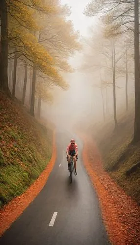 Create a dramatic 5-second video of cyclists descending a hill in foggy conditions:
Scene: Misty, forested hillside with a winding road cutting through.
Action: A group of 3-5 cyclists emerges from th