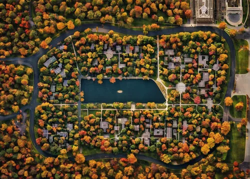 suburbs,fall colors,suburban,autumn in the park,fall landscape,fall foliage,bird's-eye view,aerial shot,central park,autumn colors,urban park,bird's eye view,autumn park,small towns,apartment complex,resort town,overhead shot,from above,neighborhood,drone shot,Photography,Artistic Photography,Artistic Photography 14