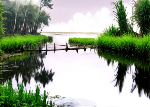 wetland,backwaters,nature background,landscape background,backwater,pond,ricefield,background view nature,wetlands,kuttanad,swamps,waterscape,rice fields,ricefields,marshlands,reedbed,waterbody,swampy landscape,polders,forest lake,Art,Classical Oil Painting,Classical Oil Painting 18