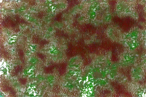 biofilm,cyanobacteria,eclogite,biofilms,multispectral,confocal,deconvolution,reionization,fluorescein,seamless texture,multiscale,cyclospora,polarizations,coagulate,hyperspectral,enantiopure,microlensing,ubiquitination,petromatrix,photoresist,Photography,Documentary Photography,Documentary Photography 26