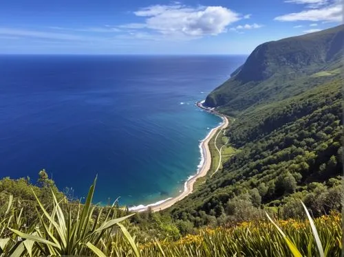 paparoa national park,reunion island,madeira,la gomera,the azores,azores,punakaiki,pacific coastline,tropical and subtropical coniferous forests,molokai,la palma,canary islands,lefkada,new zealand,fue