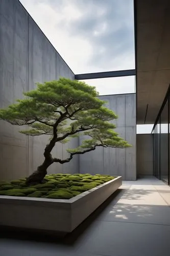 Tadao Ando architecture style, modern Japanese building, minimalist design, concrete walls, large windows, natural light, indoor garden, bonsai trees, stone floors, wooden accents, subtle lighting, se