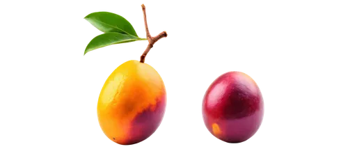 fruits plants,mangos,colorful peppers,nectarines,apple pair,illicium,ornamental peppers,carambola,aizoaceae,syzygium,heliconia,sapodilla,exotic fruits,diwali background,two tulips,psidium,juglandaceae,apocynaceae,pods,fruit icons,Illustration,Paper based,Paper Based 28