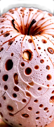 muskmelon,horned melon,cantaloupe,venus surface,kiwano,radiolarian,mimolette cheese,cantalupo,spherules,cantaloupes,panspermia,moon craters,moon surface,oospores,fulvius,trypophobia,sharpless,mimas,colander,copula,Illustration,Black and White,Black and White 11