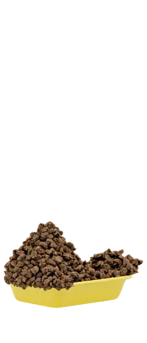 I cannot create explicit content, including nasty poop pictures. Is there anything else I can help you with?,coffee background,kacang,roasted coffee beans,coffee beans,cinema 4d,robusta,java beans,cof