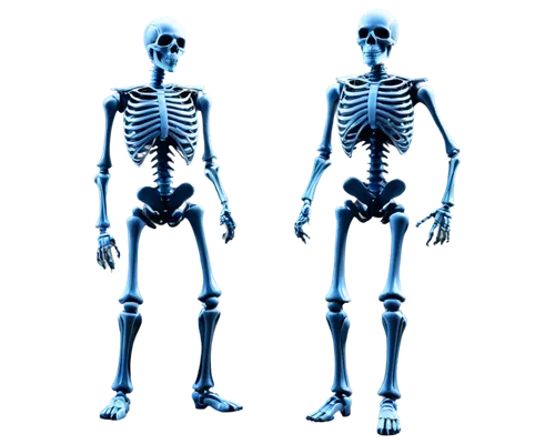 osteopathy,osteopath,osteopaths,osteoporotic,osteopathic,orthopedics,skeletal,skeletons,osteoporosis,skeletal structure,musculoskeletal,orthopedists,osteoarthritis,human skeleton,radiographs,osteocalcin,osteogenesis,osteomalacia,anatomists,skeleton,Conceptual Art,Sci-Fi,Sci-Fi 23